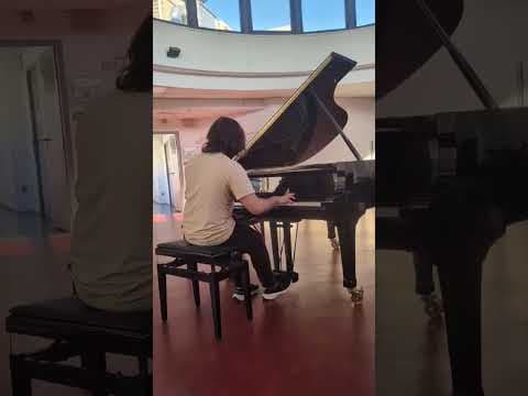 Chopin - Valse en mi mineur Posthume